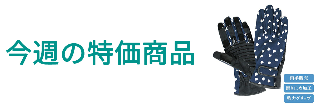 今週の特価.jpg